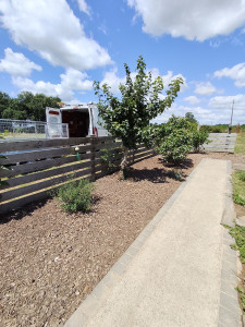 Photo de galerie - Paysagiste - Aménagement du jardin