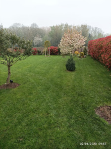 Photo de galerie - Aménagement / tonte pelouse /débroussailleuse 