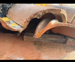 Photo de galerie - Couverture - Toiture