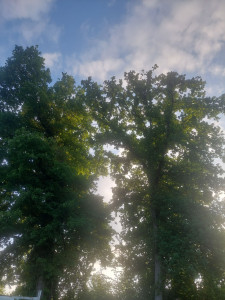 Photo de galerie - Paysagiste - Aménagement du jardin