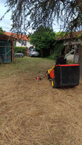 Photo de galerie - Remise en état terrain en friche 