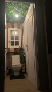 Photo de galerie - Pose de panneau liteau bois et création d’un plafond végétal 