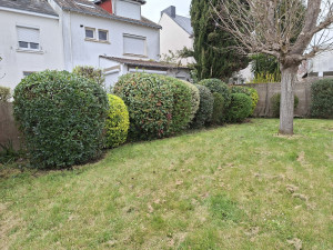 Photo de galerie - Haie variée 