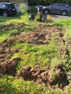Photo de galerie - Création d'un potager 