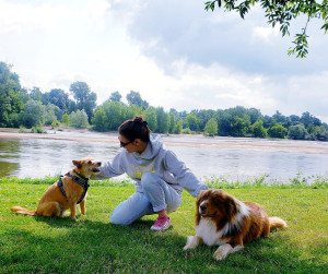 Photo de galerie - Une douce journée dans l'Allier 