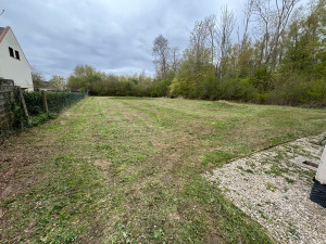 Photo de galerie - Tonte 