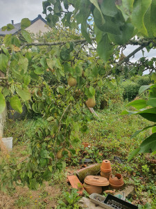 Photo de galerie - Jardinier