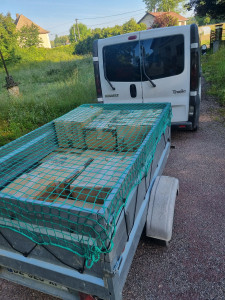 Photo de galerie - Transport d'objets