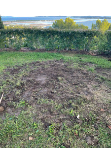 Photo de galerie - Paysagiste - Aménagement du jardin