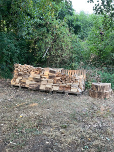Photo de galerie - Stockage bois de Peuplier