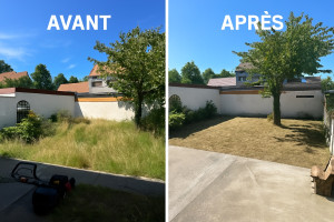 Photo de galerie - Chantier calais: Débroussaillage + tonte + coupe d’arbre 