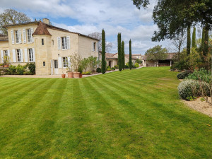 Photo de galerie - Tonte pelouse