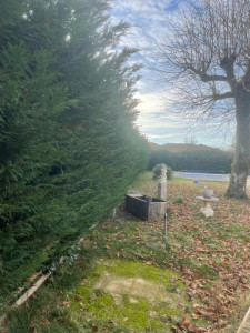 Photo de galerie - Taille de haies et d'arbustes