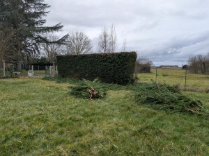 Photo de galerie - Après.    