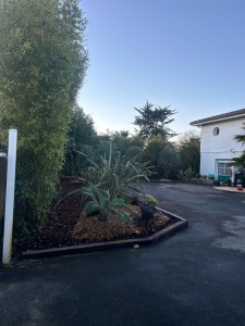 Photo de galerie - Paysagiste - Aménagement du jardin