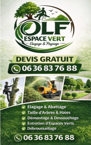 Photo de galerie - élagage ,coupe d’arbres