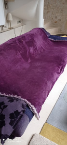 Photo de galerie - Entretien Général 
Aspiration poils d 'Animaux 