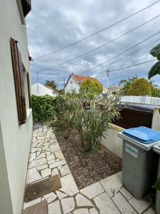Photo de galerie - Taille d'une haie laurier (après)