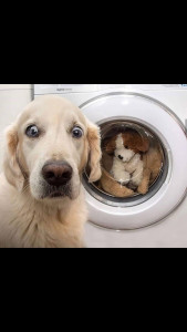 Photo de galerie - Dépanneur depuis 25 ans dans ce domaine je connais parfaitement le matériel 