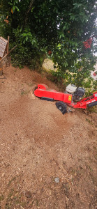 Photo de galerie - Suppression de souches par rognage 