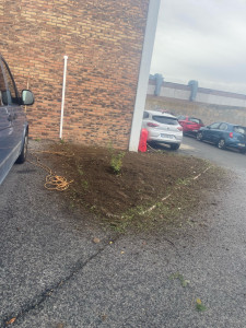 Photo de galerie - Paysagiste - Aménagement du jardin