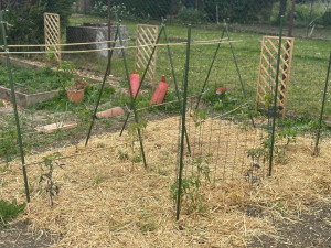 Photo de galerie - Jardinier