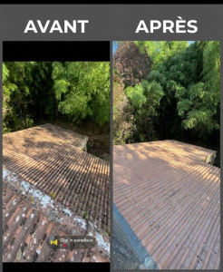 Photo de galerie - Nettoyage et protection de la toiture 