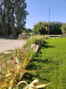 Photo de galerie - Paysagiste - Aménagement du jardin