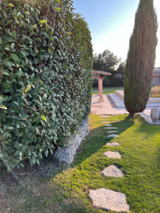 Photo de galerie - Paysagiste - Aménagement du jardin