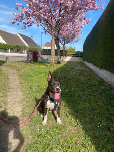 Photo de galerie - Garde de Maya