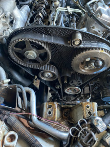 Photo de galerie - Courroie distribution 1.9 tdi 