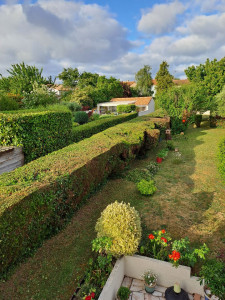 Photo de galerie - Taille de haies et d'arbustes