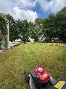 Photo de galerie - Tonte de pelouse