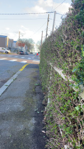 Photo de galerie - Taille