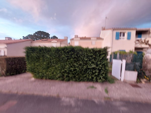 Photo de galerie - Taille de haies et d'arbustes