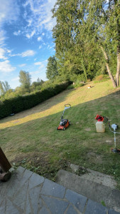 Photo de galerie - Après la tonte