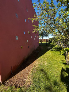 Photo de galerie - Enlèvement d’arbres et de souche, retournement de terre, sème de gazon 