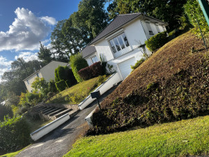 Photo de galerie - Débroussaillage et tonte et taille 