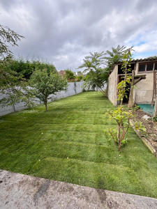 Photo de galerie - Aménagement de jardin en gazon, rouleau