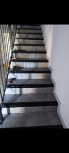 Photo de galerie - Les escaliers 