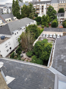 Photo de galerie - Couverture - Toiture