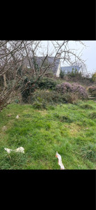 Photo de galerie - Avant