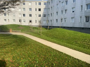 Photo de galerie - Paysagiste - Aménagement du jardin