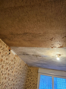 Photo de galerie - Peinture - Tapisserie