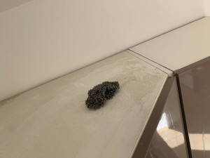 Photo de galerie - Nettoyage d’une maison après une location annuel pour nouveaux locataires 