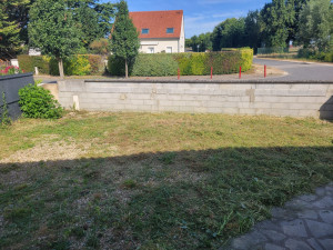 Photo de galerie - Débroussaillage chez un particulier.