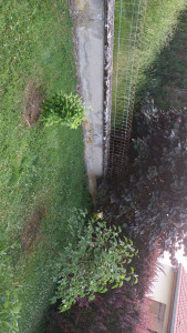 Photo de galerie - .