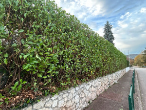 Photo de galerie - Taille