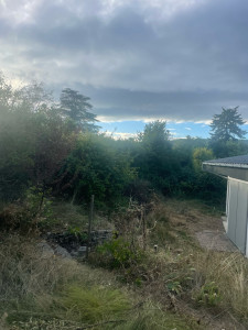 Photo de galerie - Tonte de pelouse - Débroussaillage