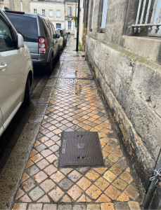 Photo de galerie - Désherbeur mécanique